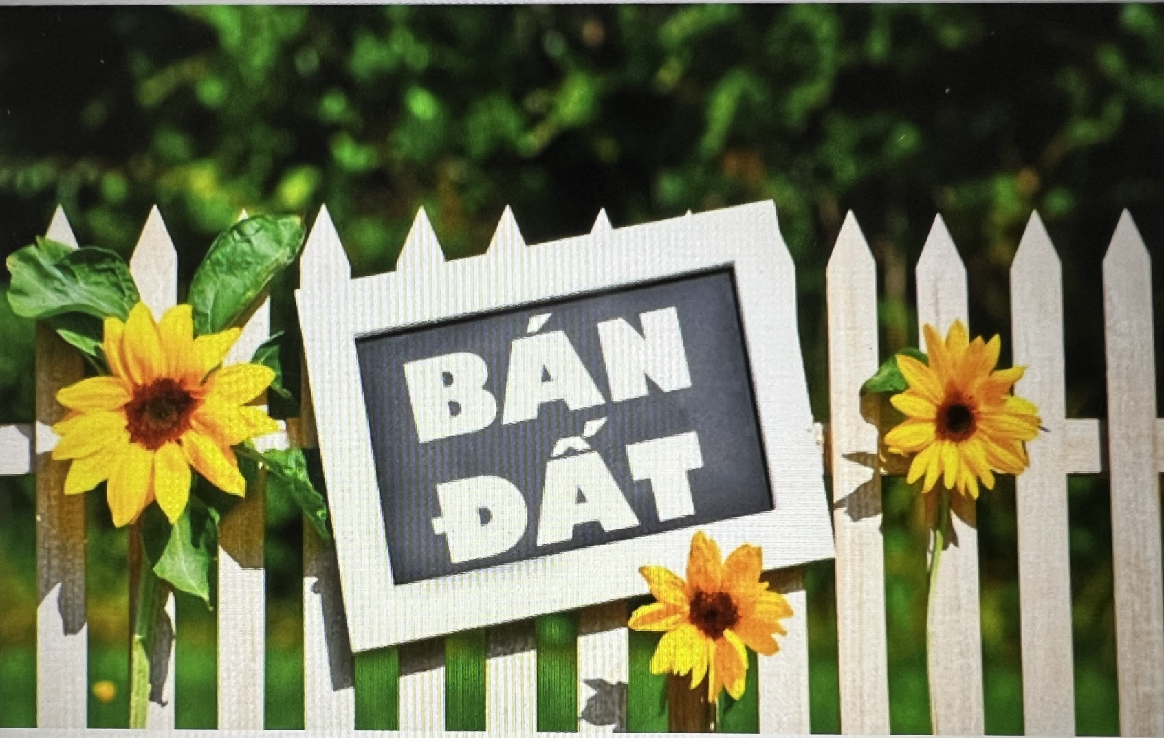 Chính chủ cần bán 2 lô đất tại TT TP Thanh Hoá