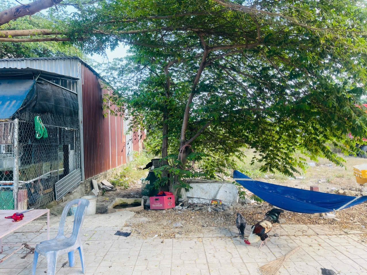 BÁN ĐẤT NAM SÔNG CÁI, CÓ SỔ ĐỎ