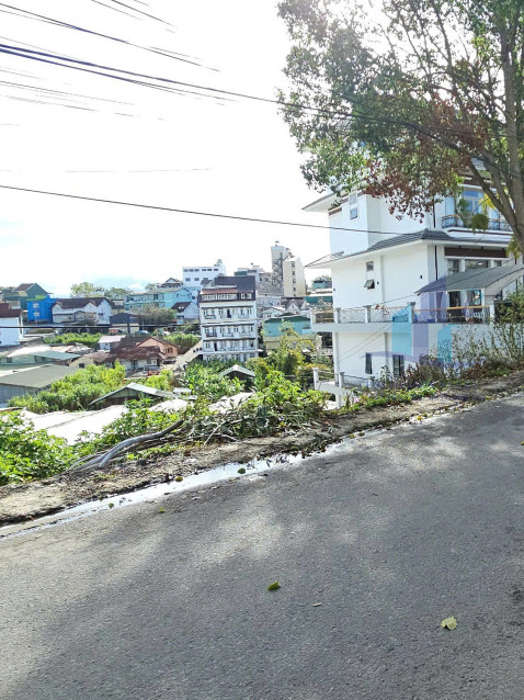Bán Đất hẻm xe hơi đường Trần Khánh Dư, Phường 8, Đà Lạt 221,15mv
