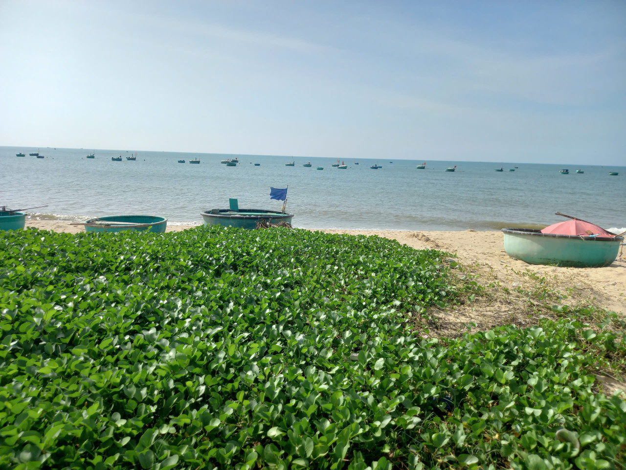 Đất Ngộp View Biển,mặt tiềnTrần Lê-Tiến Thành-Lâm Đồng-1.167m2+4.390m2