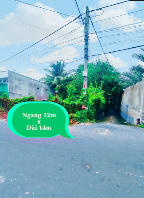 ♻️♻️♻️ BÁN NỀN SAU ĐÌNH THOẠI NGỌC HẦU