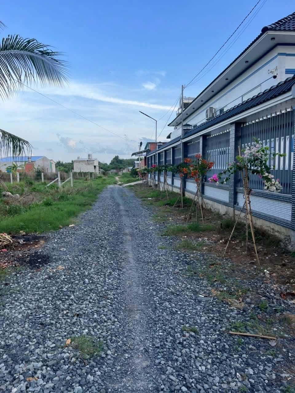 Bán Đất 60m² thổ cư 60m² giá 320 triệu tại Đường Trần Phú Phường Hòa Thành Tây Ninh