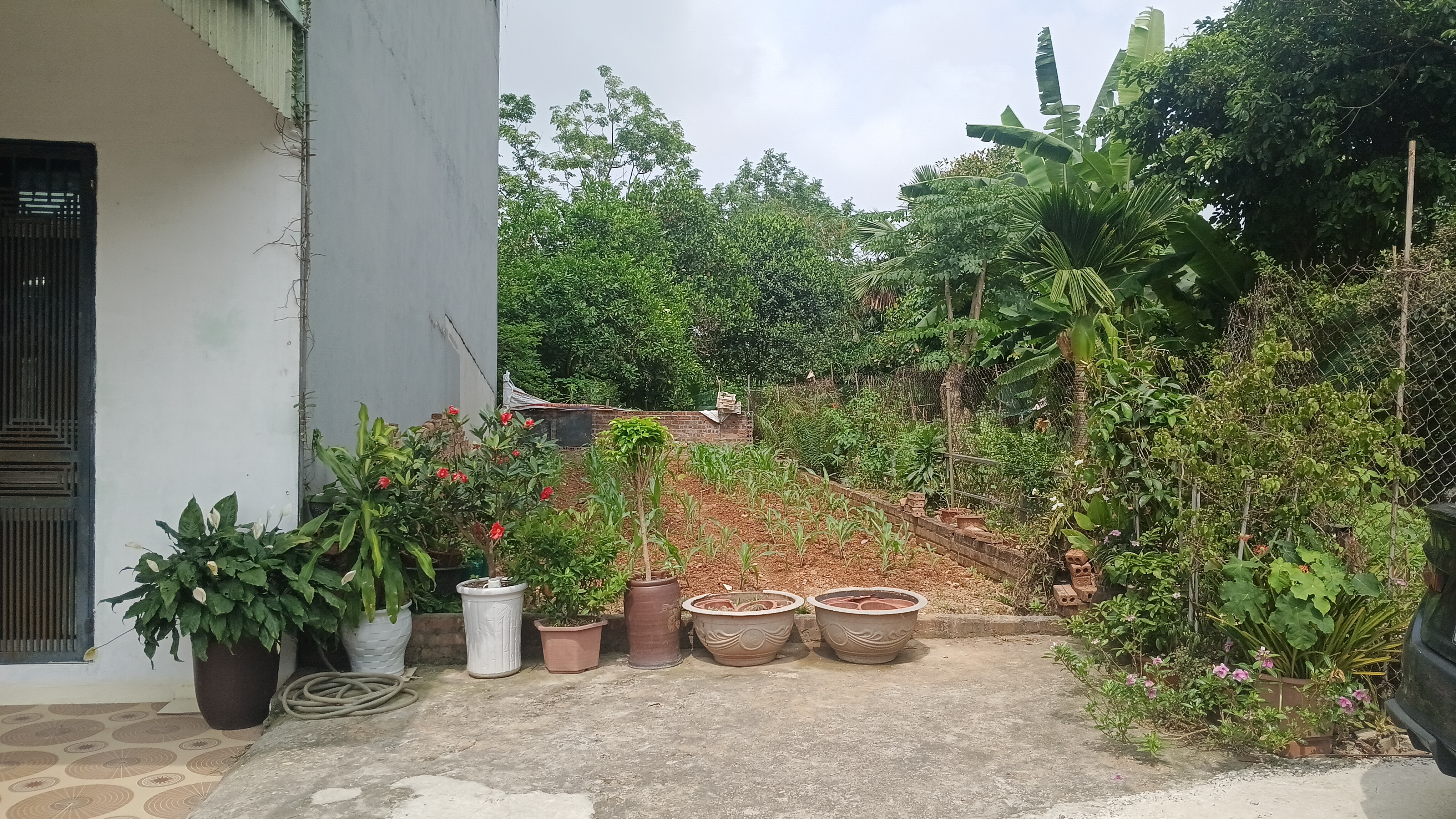 Bán đất 75m² giá 2.25 tỷ tại khu Bảo Đà, Dữu Lâu