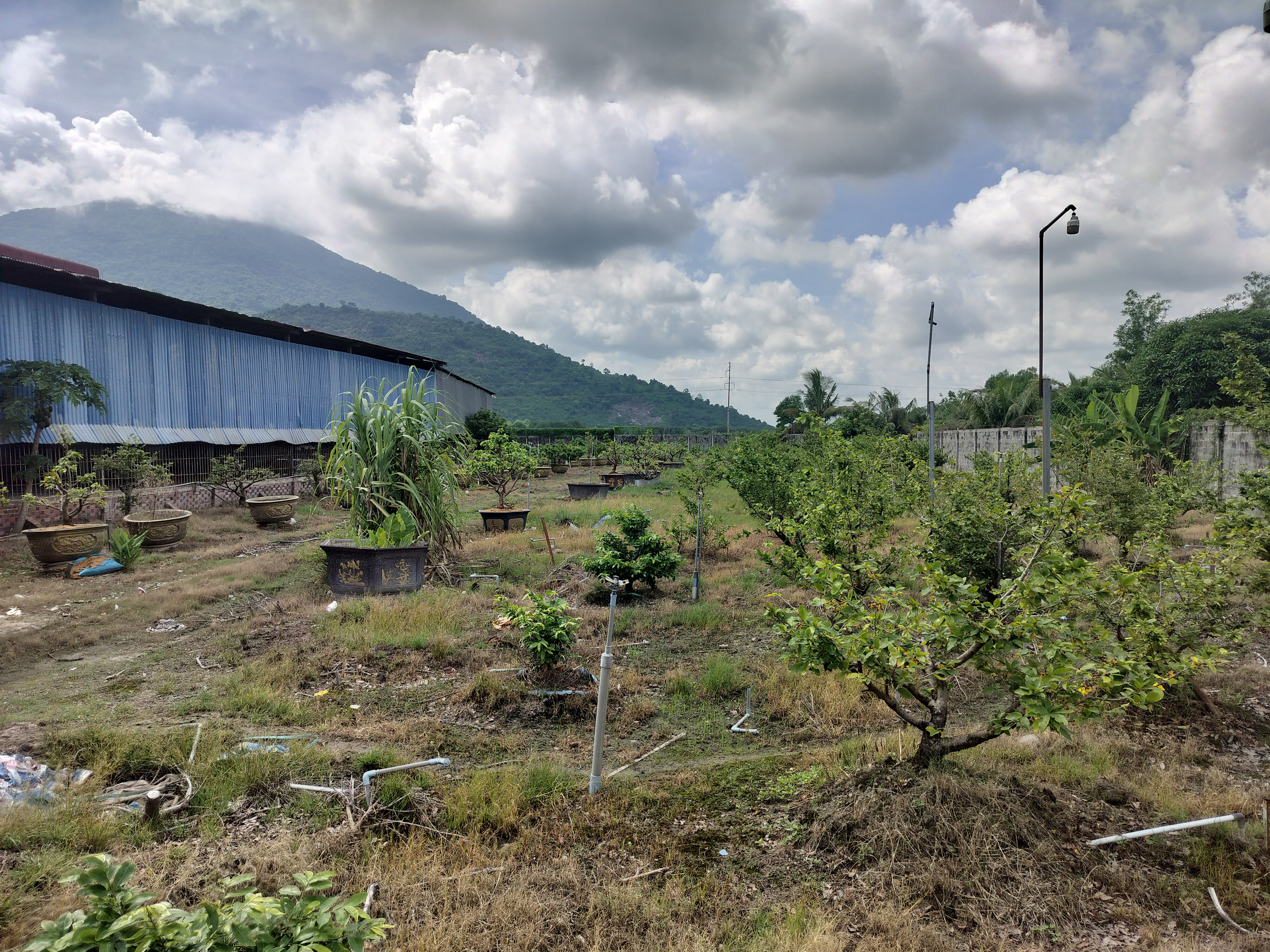 Bán kho, nhà xưởng tại Đường Trần Phú, Xã Bình Minh, Tây Ninh, 75 tỷ, 16000 m2