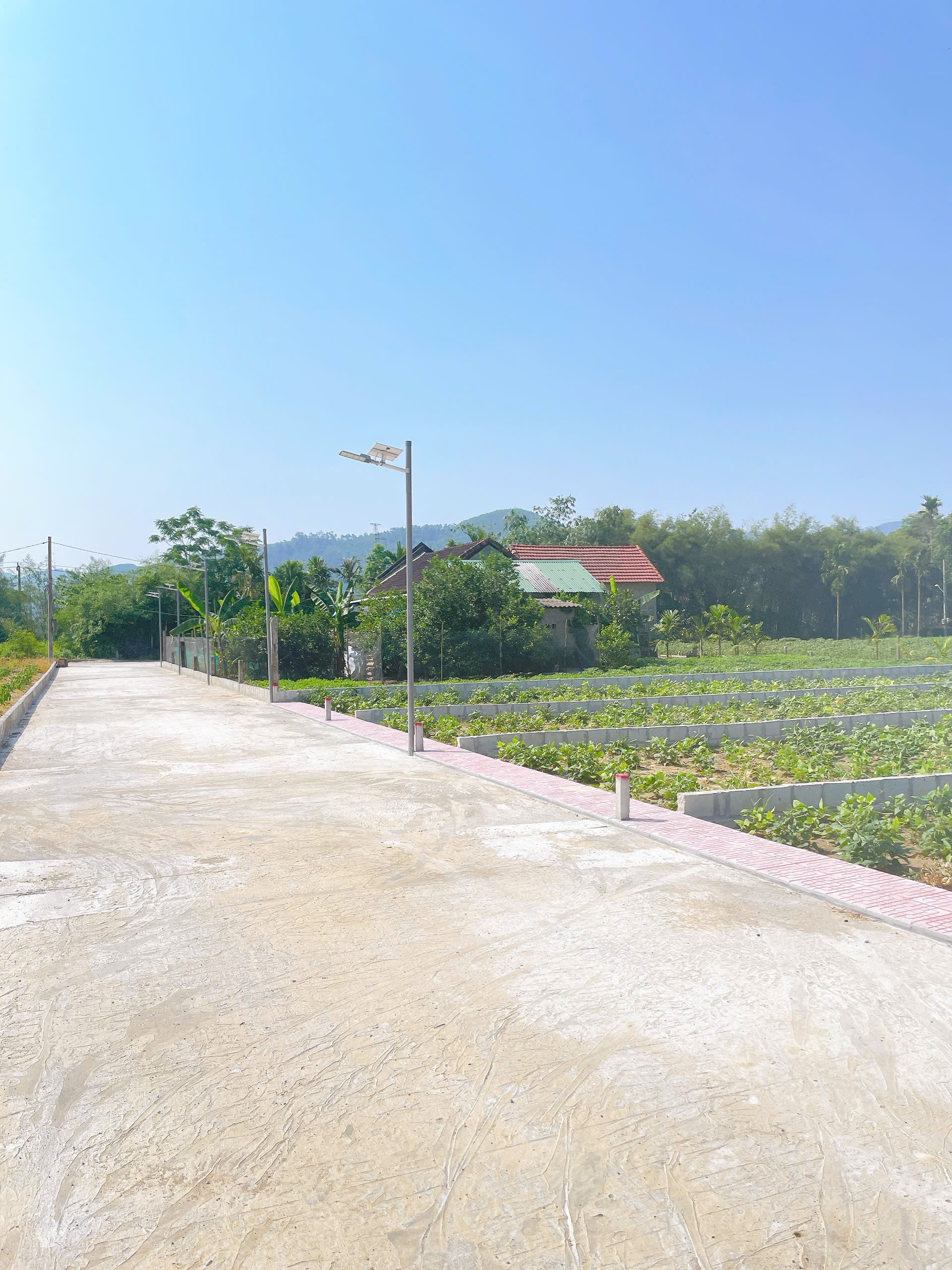 Bán Đất 124m² thổ cư 80m² giá 530 triệu tại Đường Trần Quang Diệm Phường Kim Trà Thừa Thiên Huế