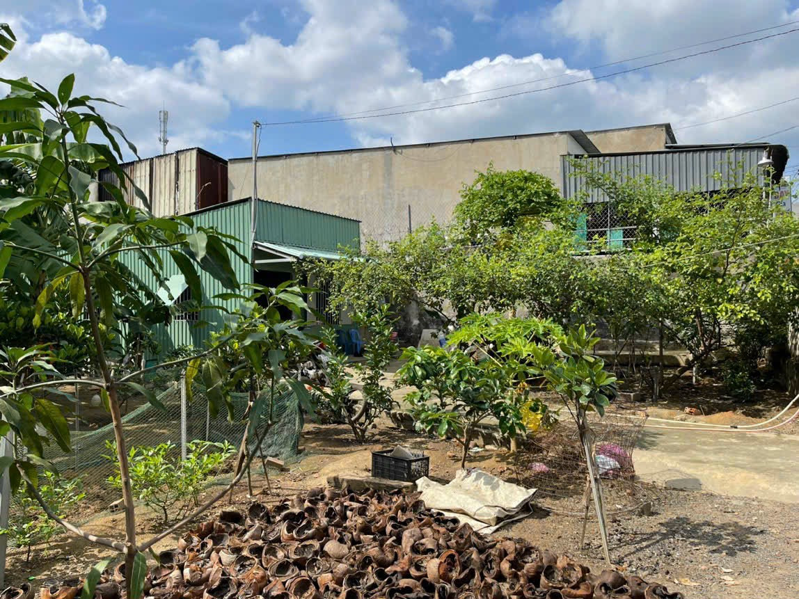 Bán đất 461.6m² ngang 15.5m giá 10 tỷ tại Phường Tân Bình Thị xã Dĩ An