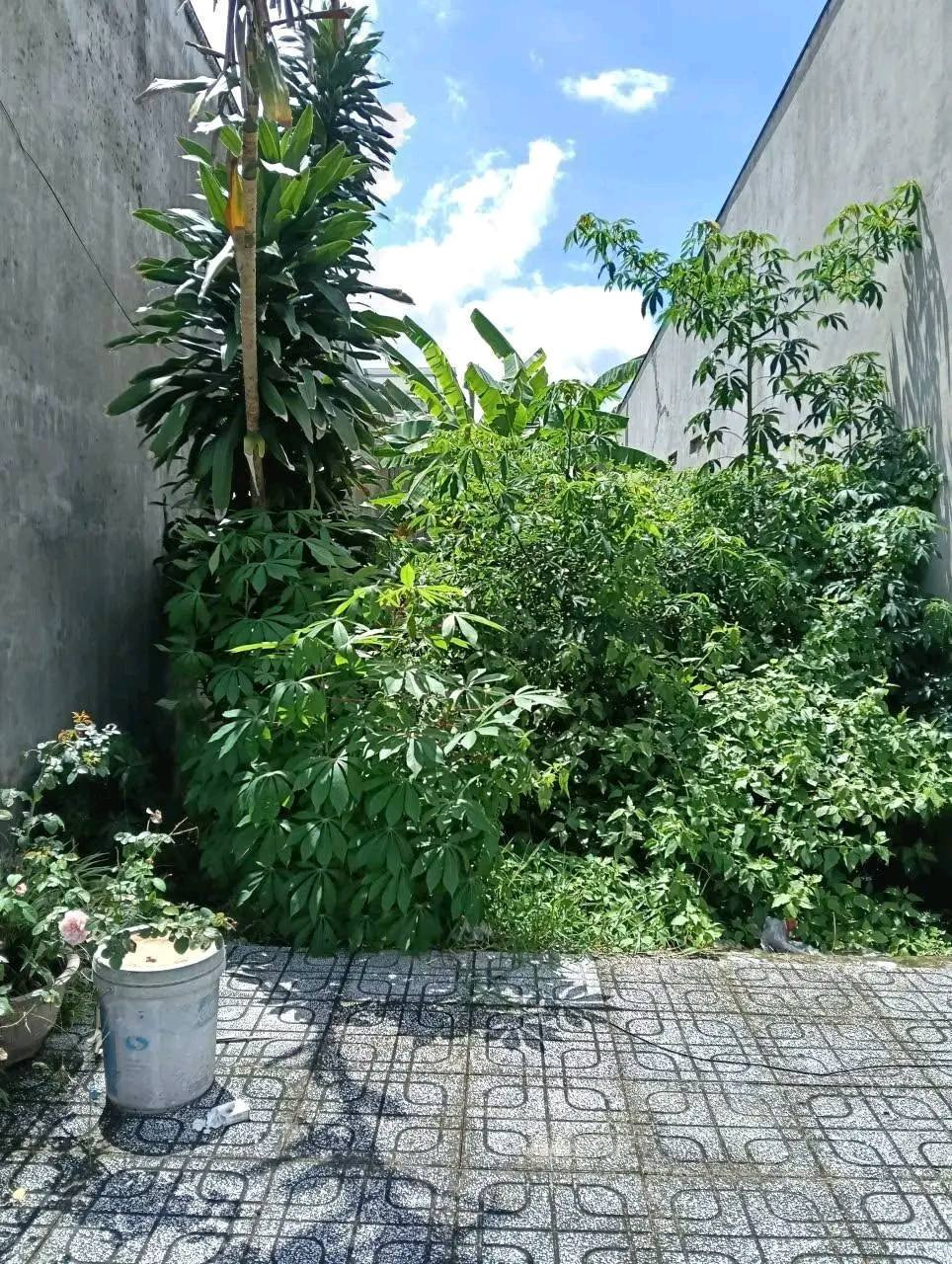 Cần Bán Nhanh Nền Mặt Tiền Đường Trần Thị Nhượng , Phường 4 - CAO LÃNH.