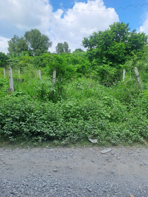 (S454) (Đã bán)  Đất đường Trần Thị Tuồng (1/ Nguyễn Thị Nê vào 60m), DT 107m2, chỉ 1  tỷ 350