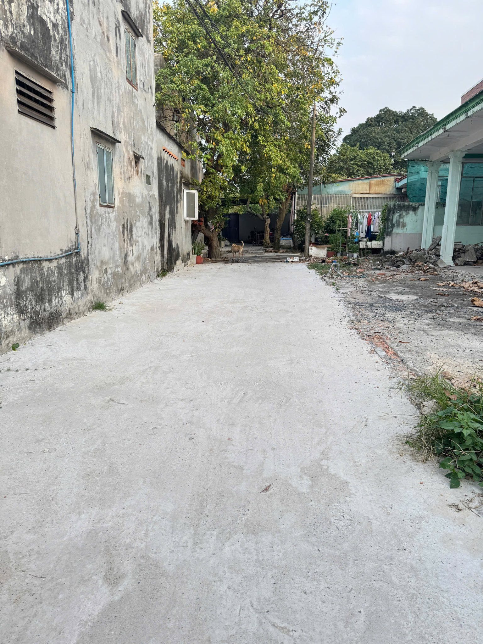 Bán đất 90m² có sẵn 80m² thổ cư ngang 5m giá 2.9 tỷ tại Đường Trịnh Thị Miếng Xã Đông Thạnh