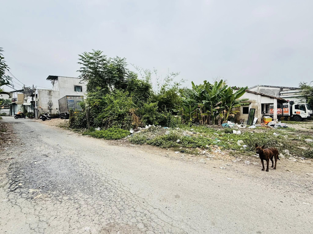 📣🏘BÁN GẤP LÔ ĐẤT MẶT TIỀN TRUNG ĐÔNG 10 – 104M² (5x21) – GIÁ CHỈ 2,65 TỶ – CÁCH NGUYỄN THỊ NGÂU CHỈ 200M – GIÁP QUẬN 12