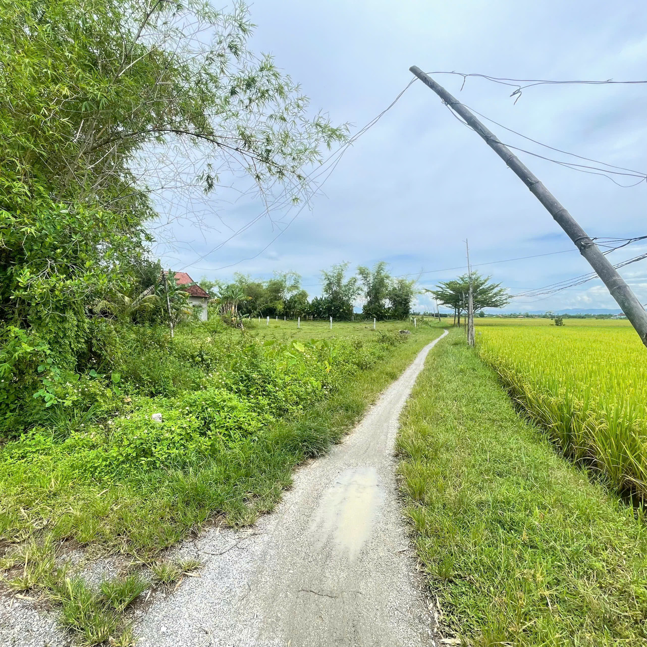 Bán lô đất đẹp chính chủ: Đồng Dương, Thăng Bình, Đà Nẵng giá mềm. 280m ngang 10, chỉ 420 triệu.