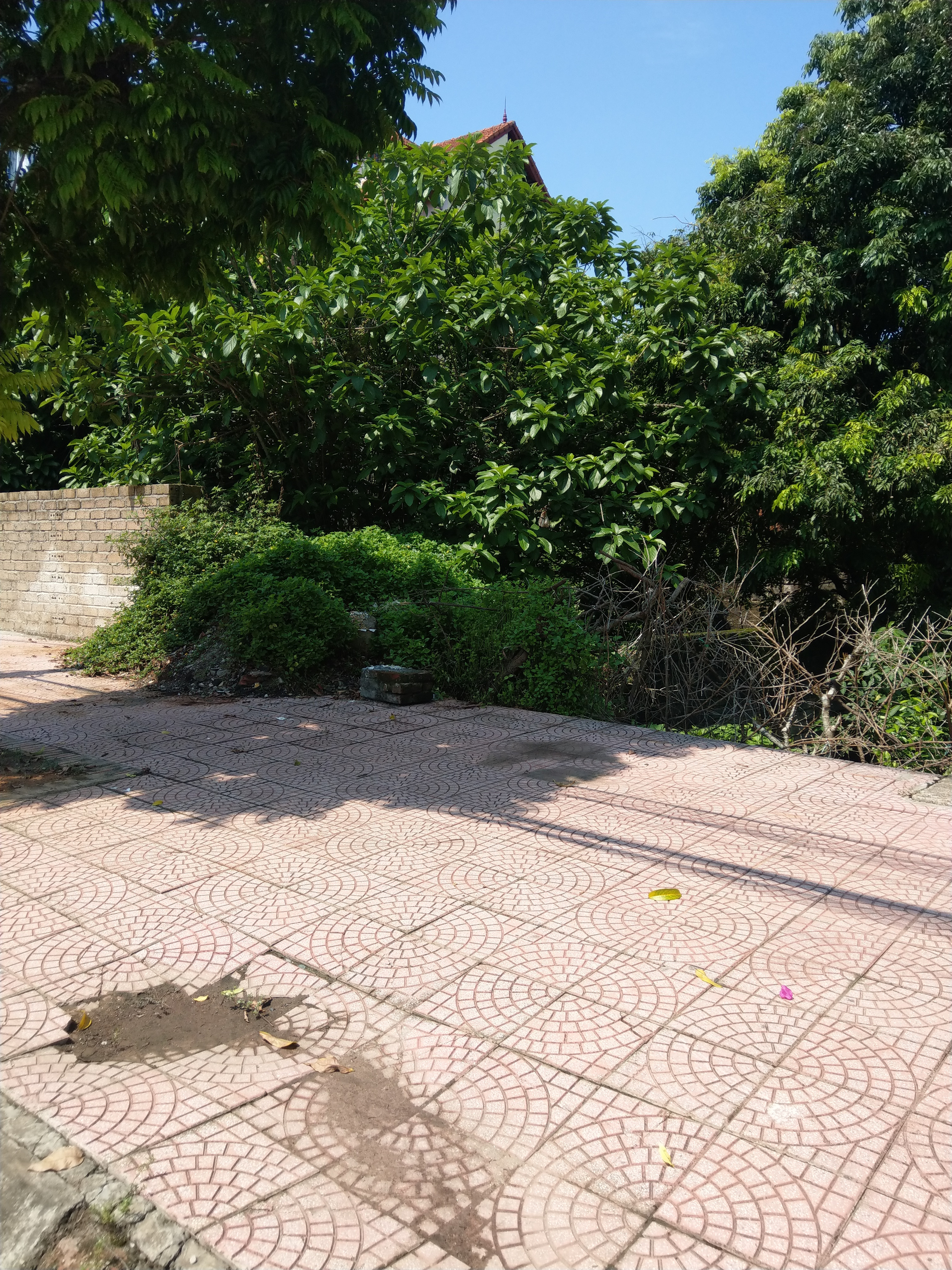 Chính chủ gửi bán 85m2 đất mặt phố Trung Sơn Trầm, phường Trung Sơn Trầm, thị xã Sơn Tây
