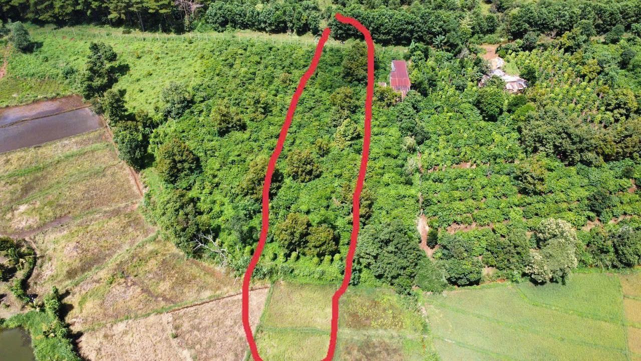 🌳3 sào đất hẻm Trường Chinh