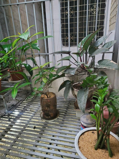 Bán nhà Trường Chinh (Đống Đa) 48/50m, 4 tầng, mt 5.4m, giá 9.7 tỷ