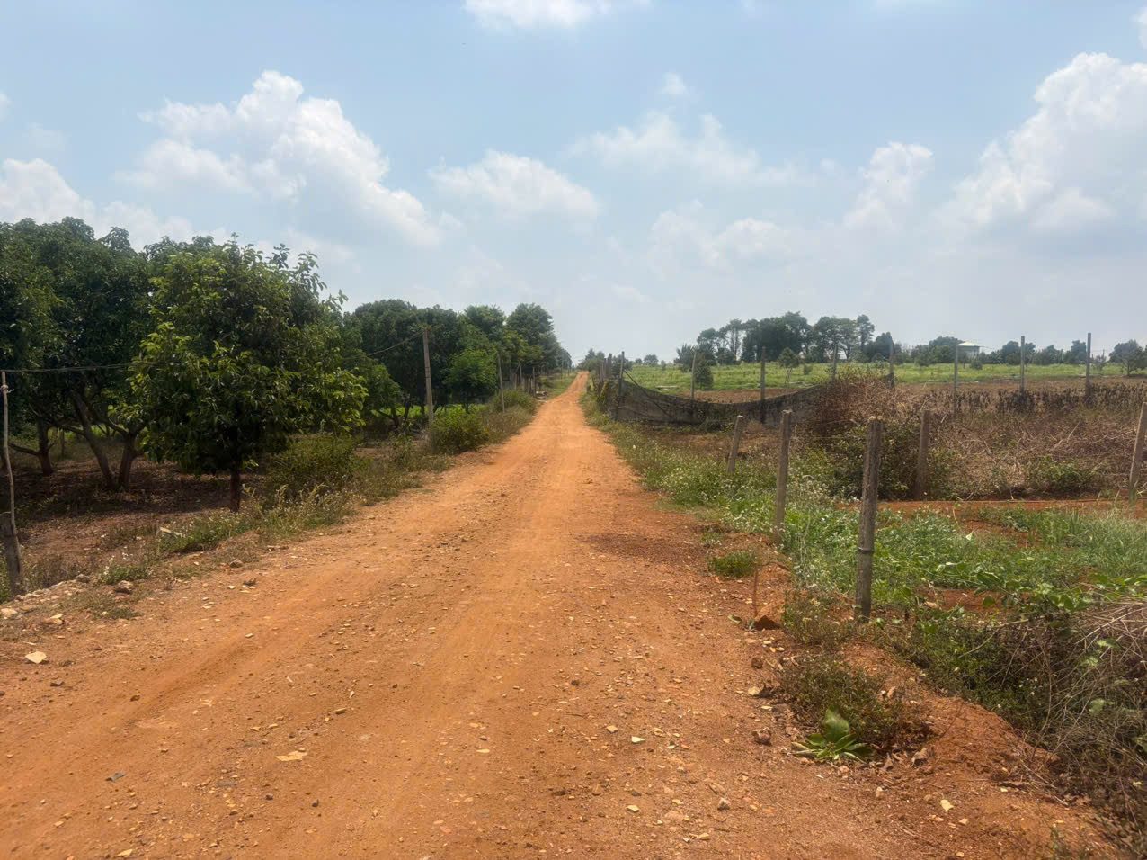 👉 1.150m2 Đất Trương Định hẻm hồ câu cá Năm Tân
