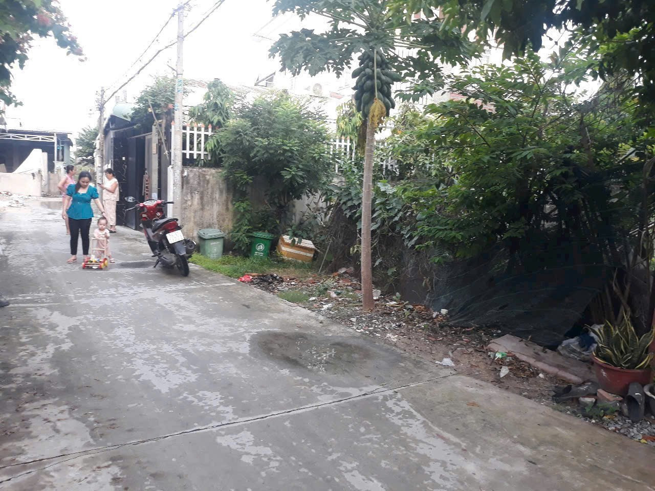 920m2 biẹt thự vườn trương văn đa đường 5m