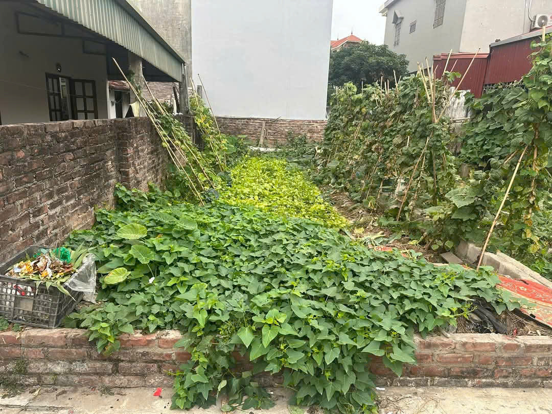 Bán đất Tương Chúc, Ngũ Hiệp, Thanh Trì 42 3.8 4.14 tỷ