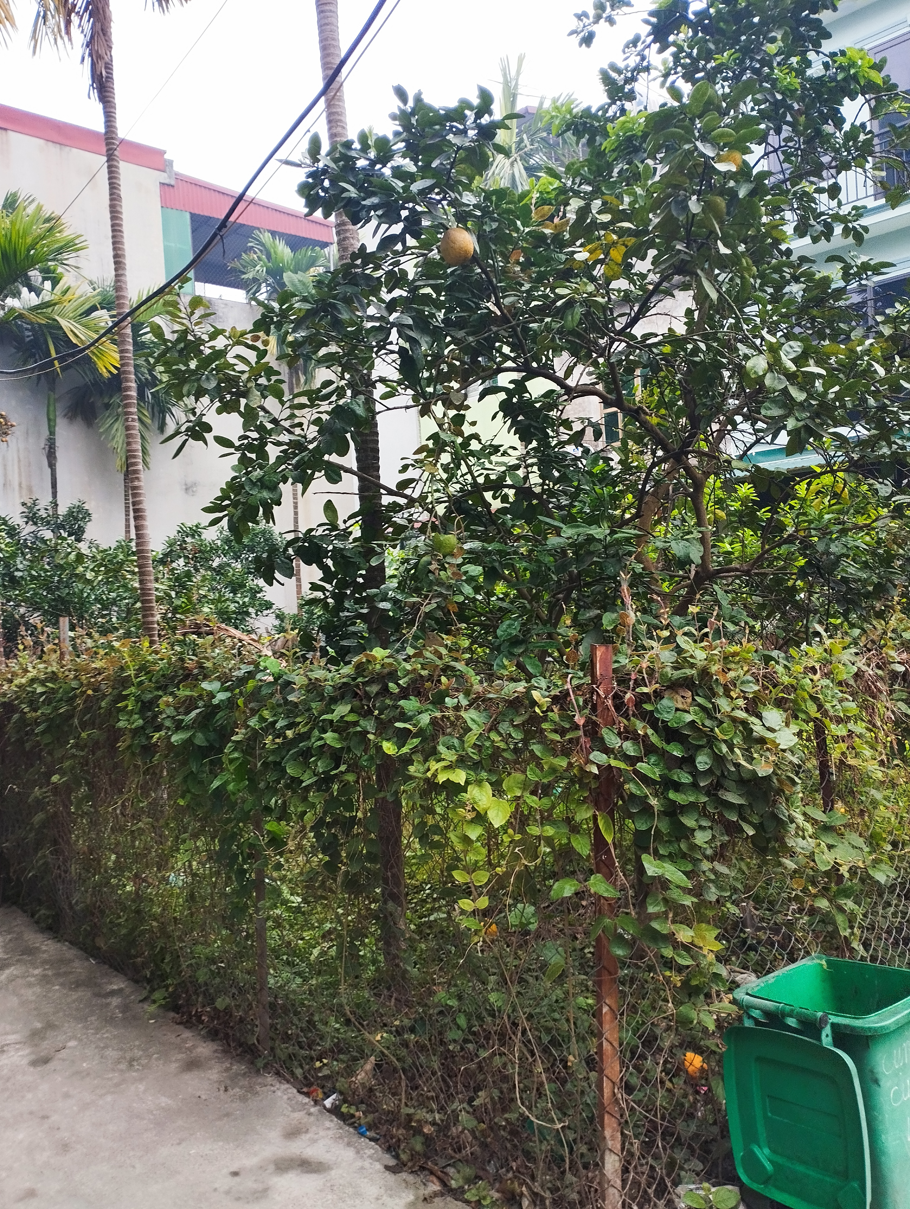 bán đất Vân Canh, Hoài Đức, 129m 14 tỷ 200 triệu, lô góc 3 thoáng, mặt tiền 10.4m