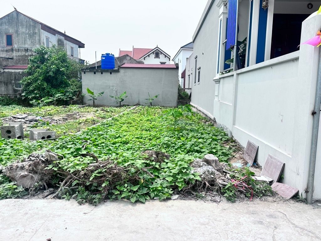 BÁN 59M2 FULL THỔ CƯ NGANG 4,3M AN VỸ KHOÁI CHÂU GIÁ 1,5TỶ