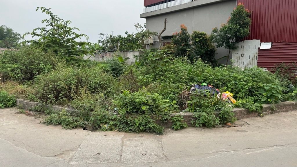 BÁN 60M2 FULL THỔ CƯ NGANG 6M ĐÔNG TẢO HOÀN LONG HƯNG YÊN GIÁ 2,5TỶ