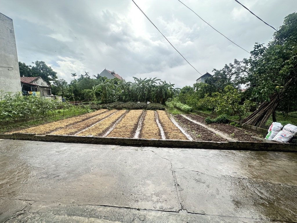 PHÂN LÔ- LÔ GIỮA-   KINH DOANH- HÌNH THỬA ĐẸP - Ô TÔ - VỊ TRÍ VÀNG- ĐẦU TƯ OK- FULL THỔ CƯ