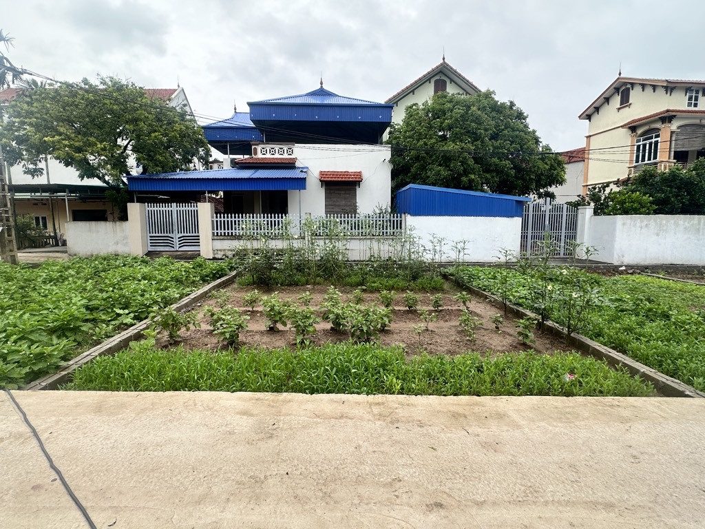 BÁN GẤP 70M2 ĐẤT FULL THỔ CƯ NGANG 8M XÃ TÂN DÂN TRIỆU VIỆT VƯƠNG GIÁ 1,6TỶ