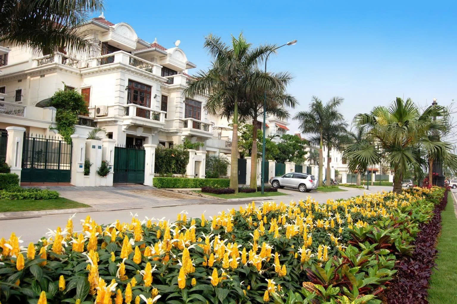 BÁN BIỆT THỰ KHU C KĐT CIPUTRA, TÂY HỒ - 238M² - MT 9M - MẶT ĐƯỜNG ĐÔI - VIEW TRƯỜNG HỌC