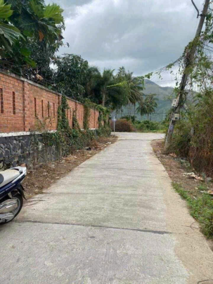 Cần bán gấp