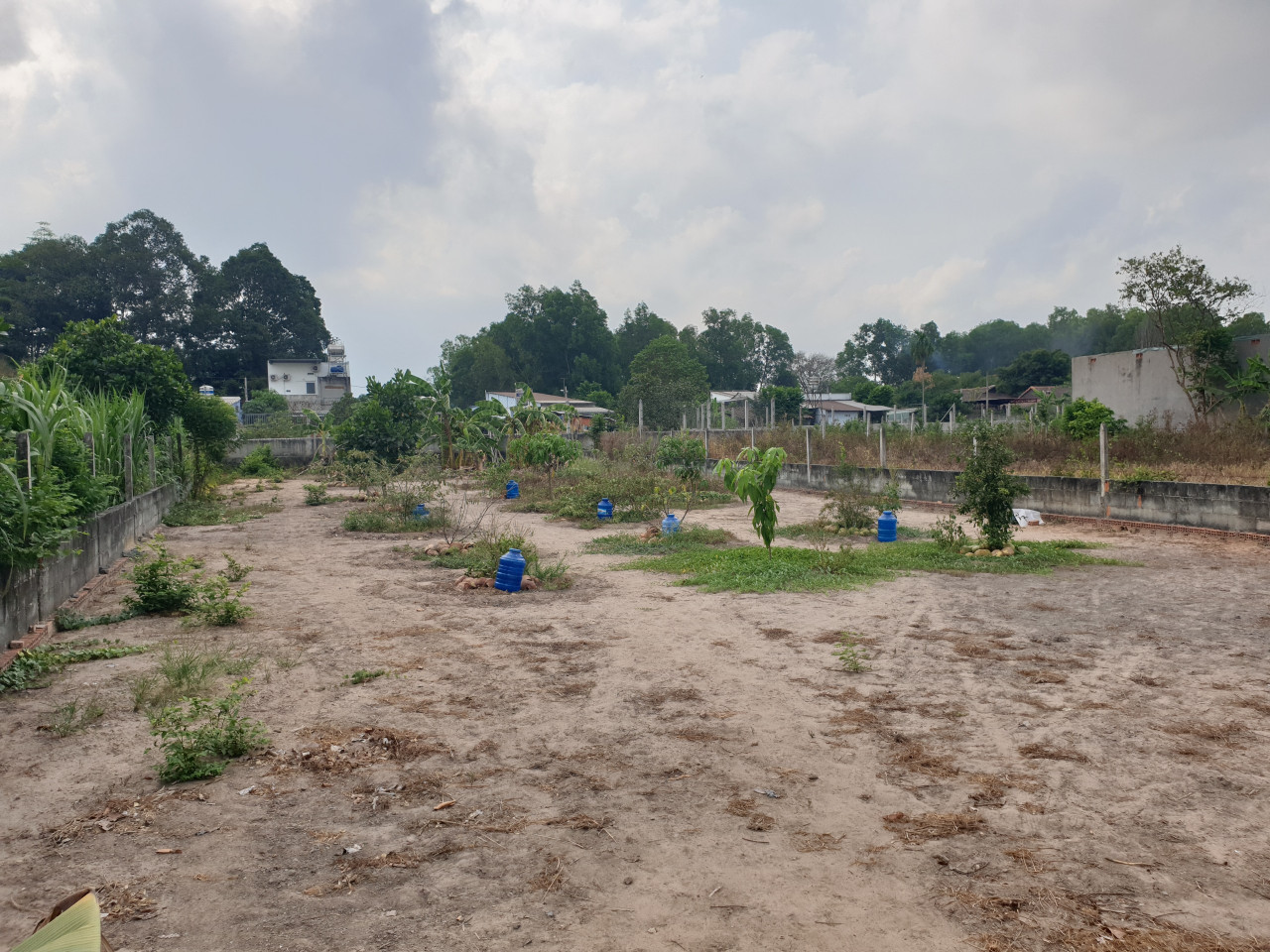 500 m2 (12x41m) đất xã Tân Phú Trung Củ Chi, mặt tiền đường Võ Thị Nghỉ nhựa lộ giới 12m, giá rẻ