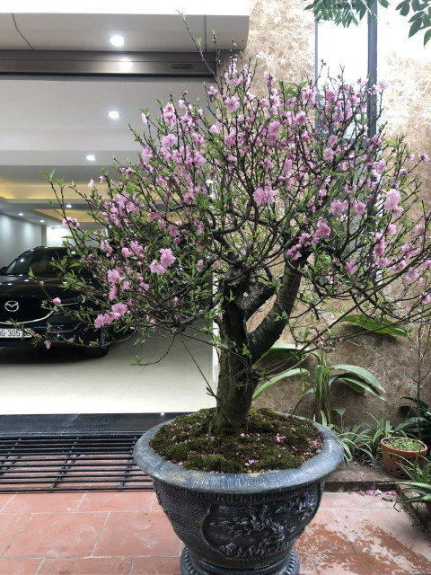 Bán nhà Võ Thị Sáu dt 90m2, 3t, mt 7m, ô tô tránh kinh doanh.