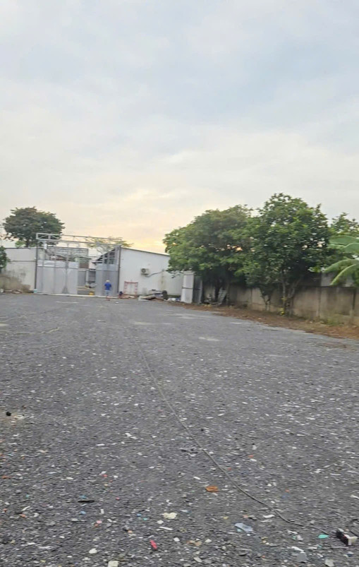 Cho thuê kho xưởng 3000m2 mặt tiền Võ Trần Chí, Bình Chánh, giá tốt