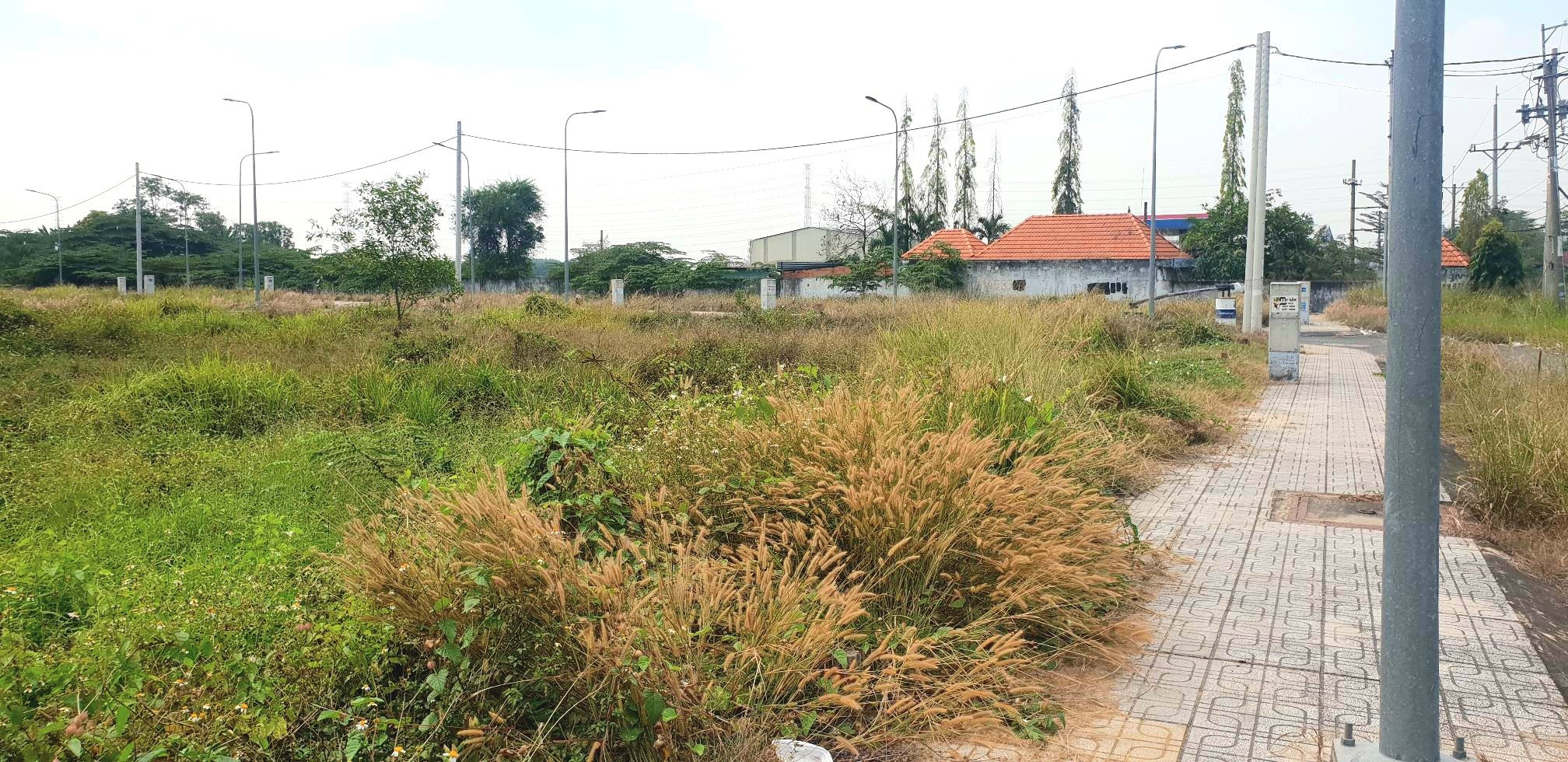 Ngôp bán đất mặt tiền kinh doanh Võ Văn Bích, Củ chi gần công ty Nhựa Rạng Đông