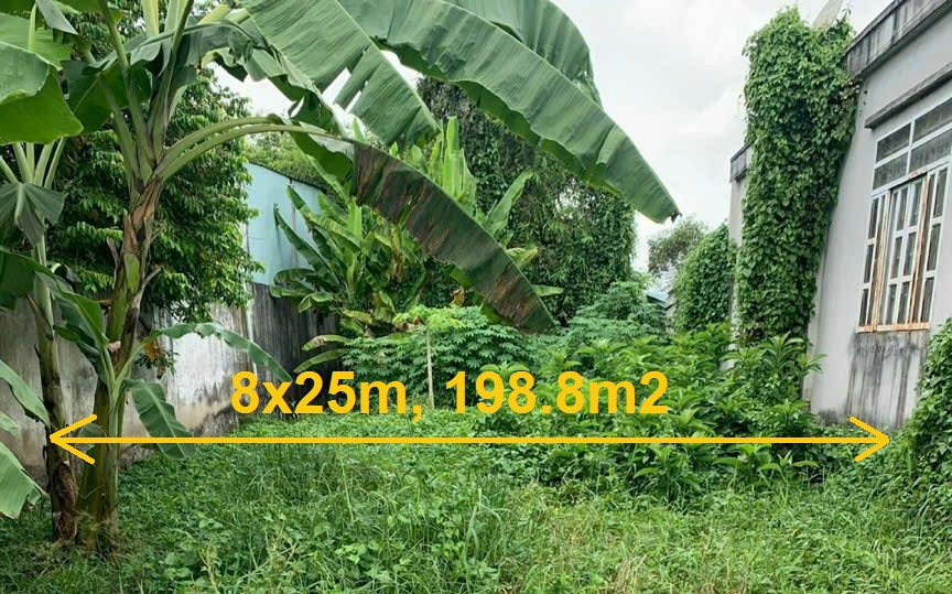 Bán đất xã Bình Mỹ Củ Chi, 1 sẹc ngắn 50m đường Võ Văn Bích, 198m2 (8x25m), sổ riêng xây dựng tự do