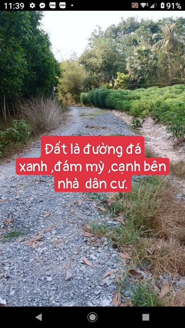 đất giá rẻ