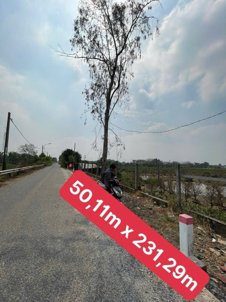 Đất mặt tiền đường nhựa kênh 5 vườn thơm bình lợi, bình chánh