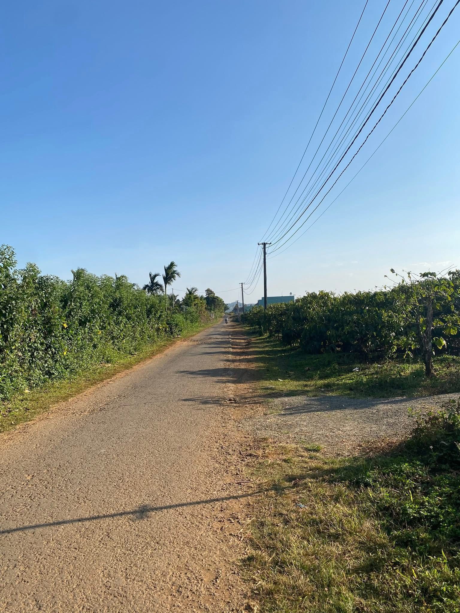 Bán Đất 2195m² thổ cư 50m² giá 520 triệu tại Đường Xã Biển Hồ Phường Thống Nhất Thành phố Pleiku Gia Lai
