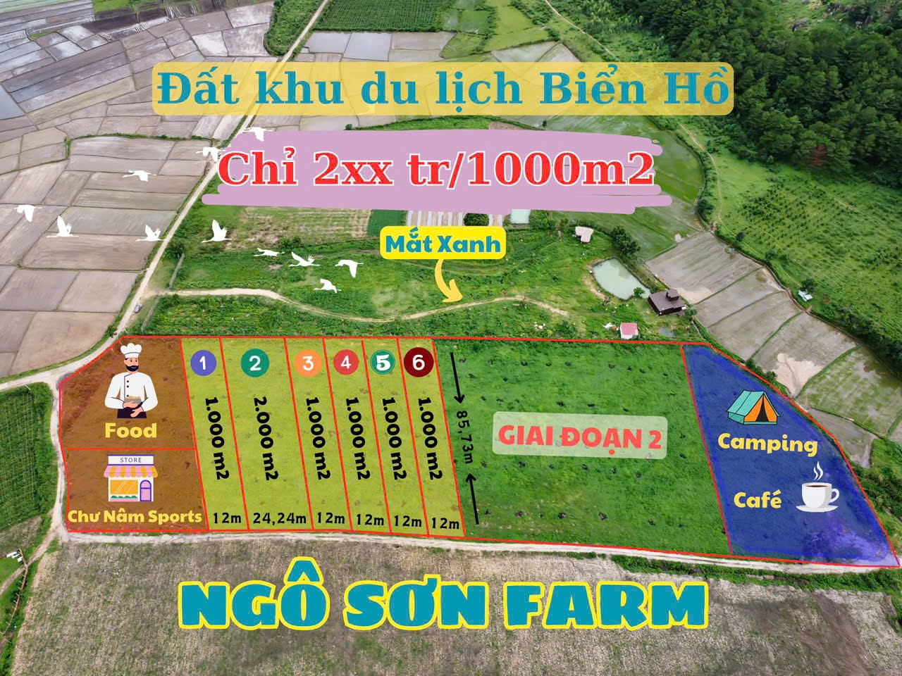 ✨ 1sào đất khu cánh đồng lúa Ngô Sơn