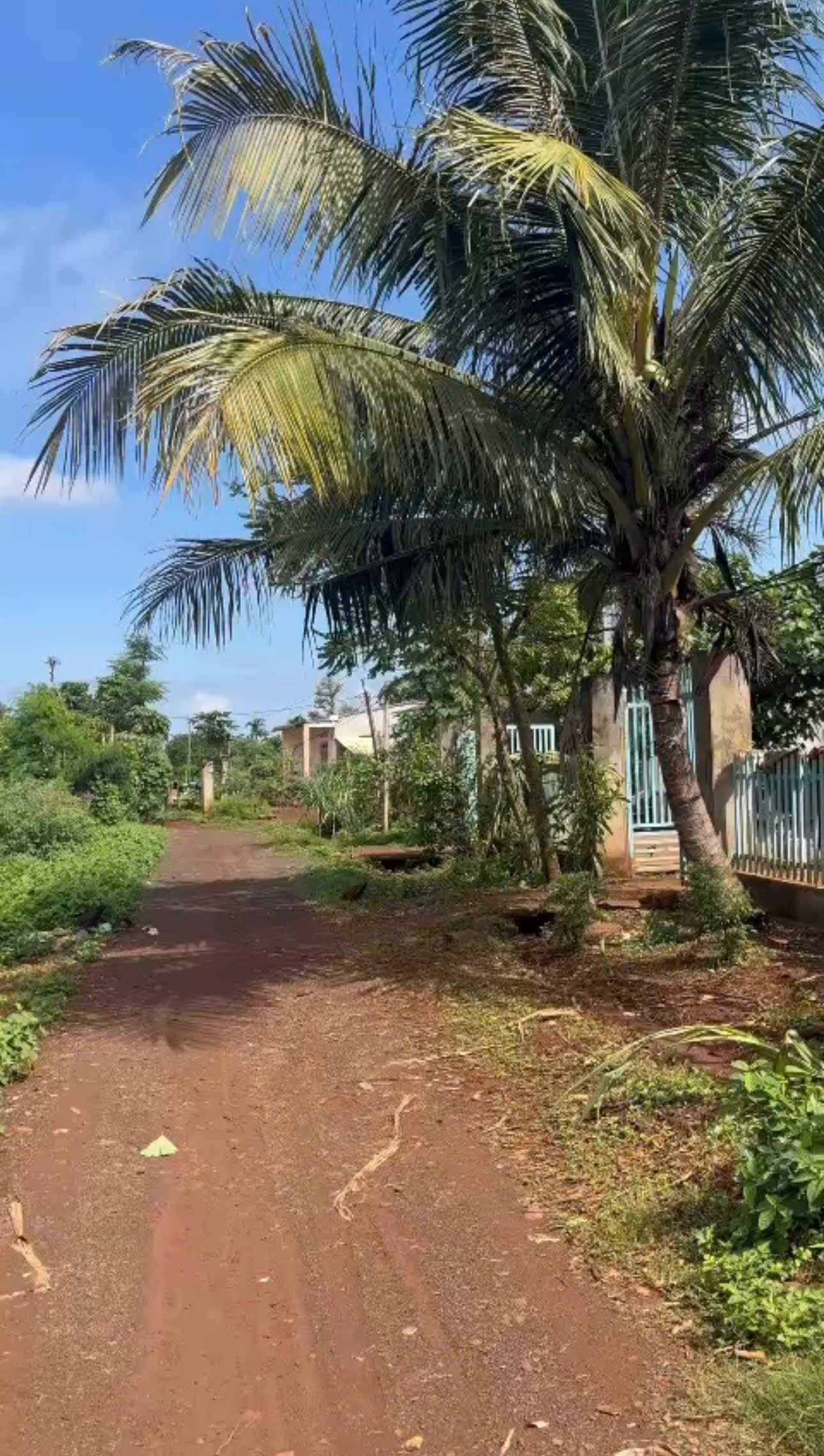 LÔ 10 MÉT CƯ SUÊ GẦN CÀ PHÊ TÂN LINH
