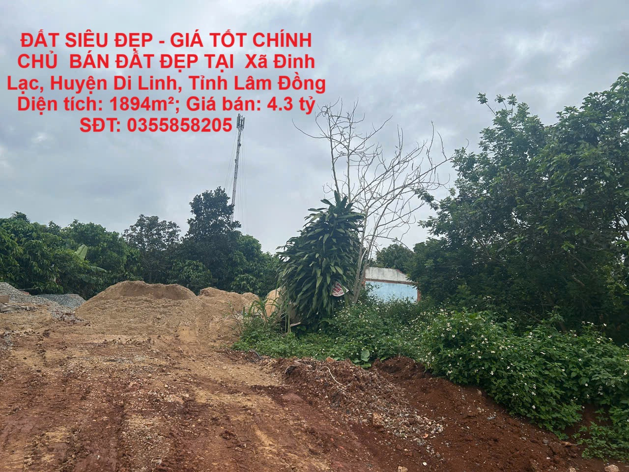 ĐẤT SIÊU ĐẸP - GIÁ TỐT CHÍNH CHỦ  BÁN ĐẤT ĐẸP TẠI  Xã Đinh Lạc, DI LINH – LÂM ĐỒNG