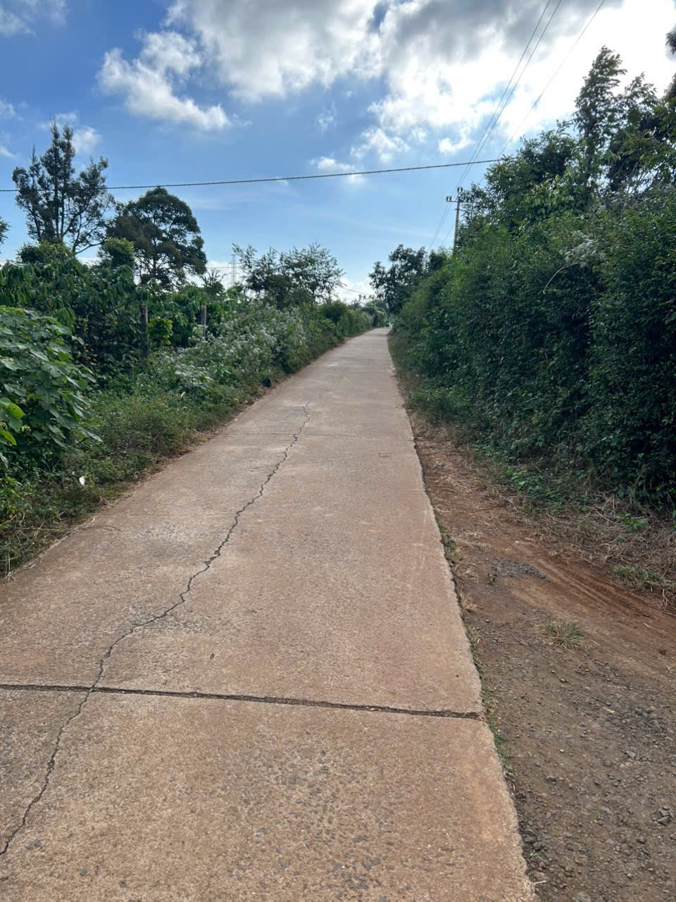 Cần bán đất rẫy
