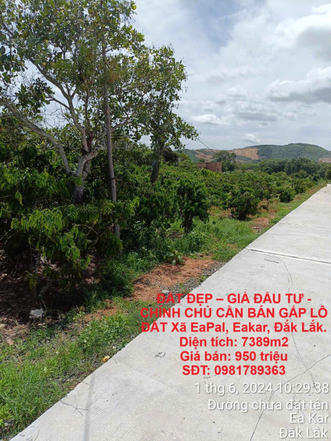 ĐẤT ĐẸP – GIÁ ĐẦU TƯ - CHÍNH CHỦ CẦN BÁN GẤP LÔ ĐẤT Xã EaPal, Eakar, Đắk Lắk.