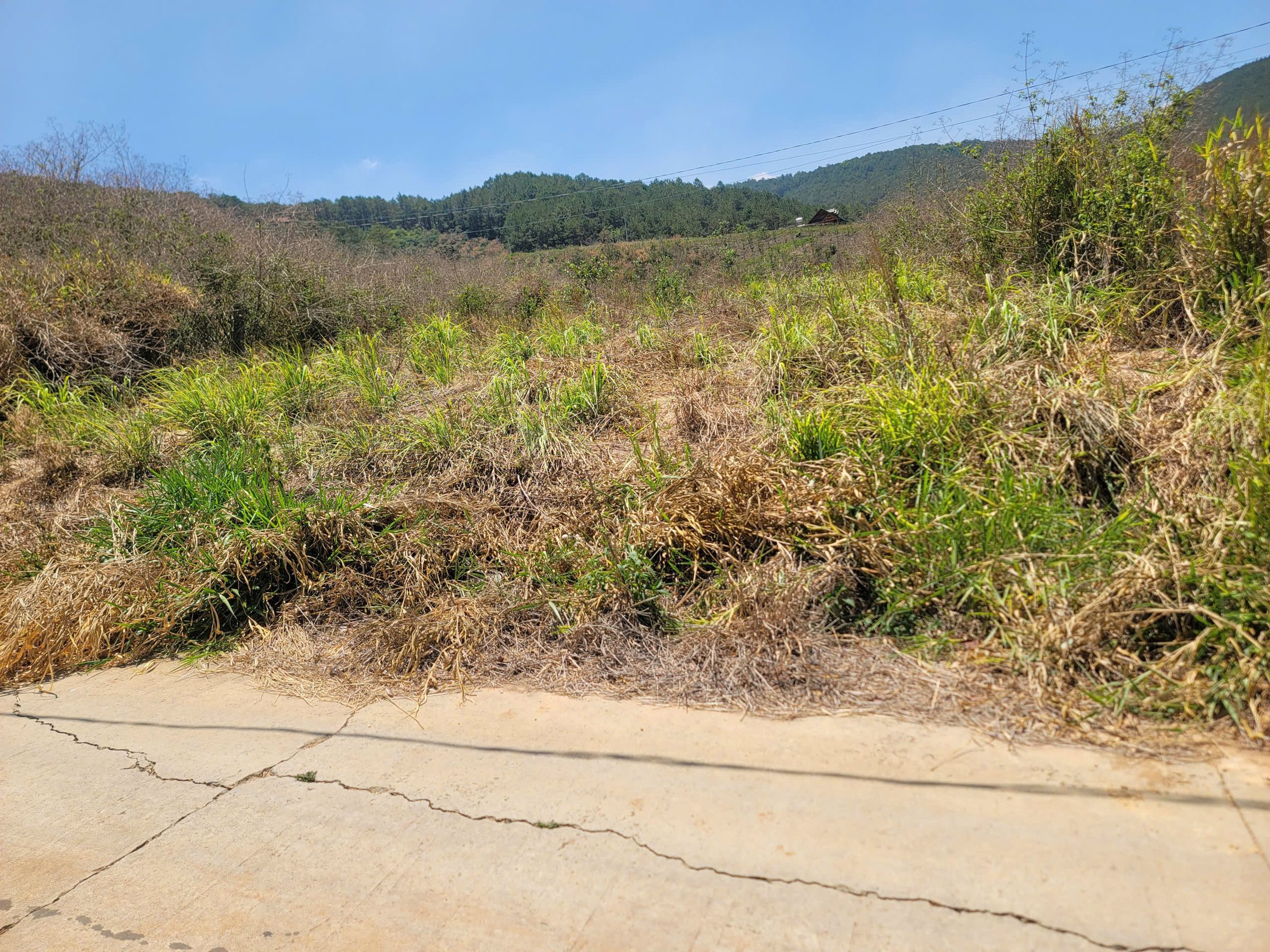 Bán 547 m2 đất Thôn 6 Gia Lâm có 100 tc
