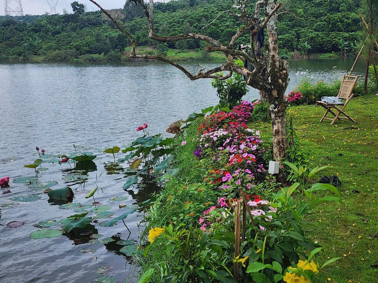 Bán khu đất view hồ Di Linh thích hợp làm homestay và làm sinh thái nghỉ dưỡng.. Vv