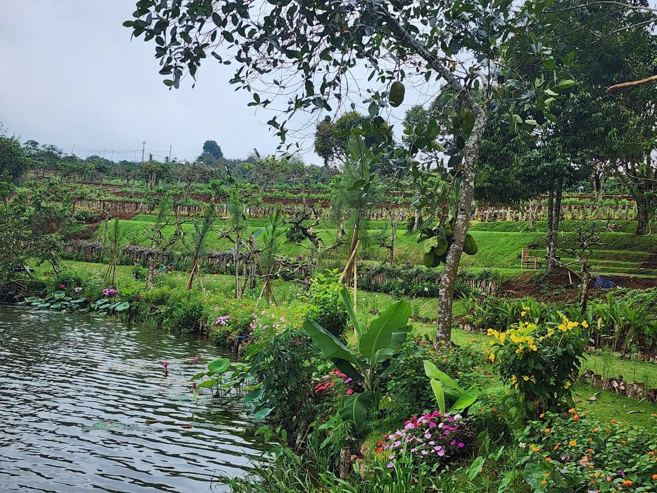 Bán khu đất view hồ Di Linh thích hợp làm homestay và làm sinh thái nghỉ dưỡng.. Vv
