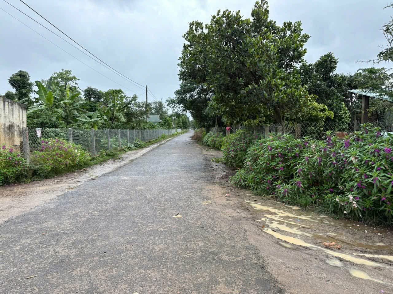 Chỉ 280tr sở hữu nguyên lô đất gần trục đường QL14 ( Gialai Kom Tum) đường biển thị 8m dân cư đông