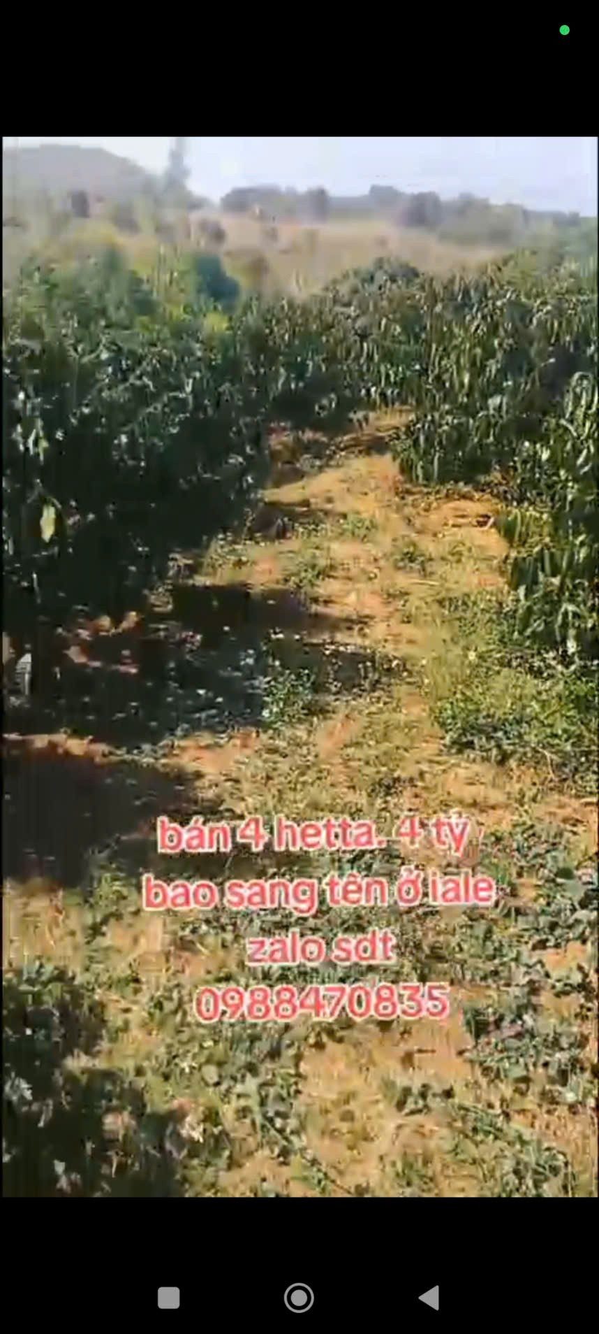 ĐẤT ĐẸP – GIÁ TỐT – CẦN BÁN GẤP LÔ ĐẤT VỊ TRÍ ĐẸPTẠI – Ia Le – Huyện Chư Pưh – Tỉnh Gia Lai
