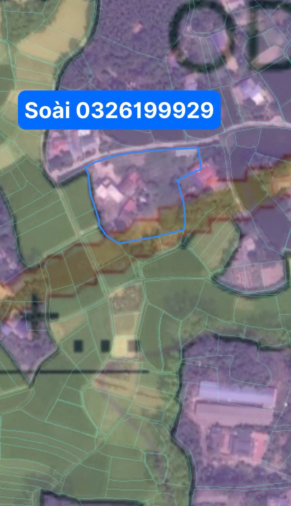 0326199929