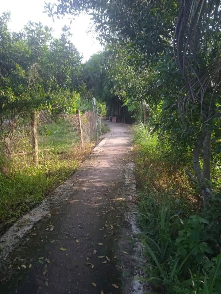 LONG HÒA 1 , LONG MỸ, Mang Thít, VĨNH LONG 2.554,6m2 Trong đó Có 300m2 Thổ. 2 tỷ 8. Liên hệ Sdt: 0939169118