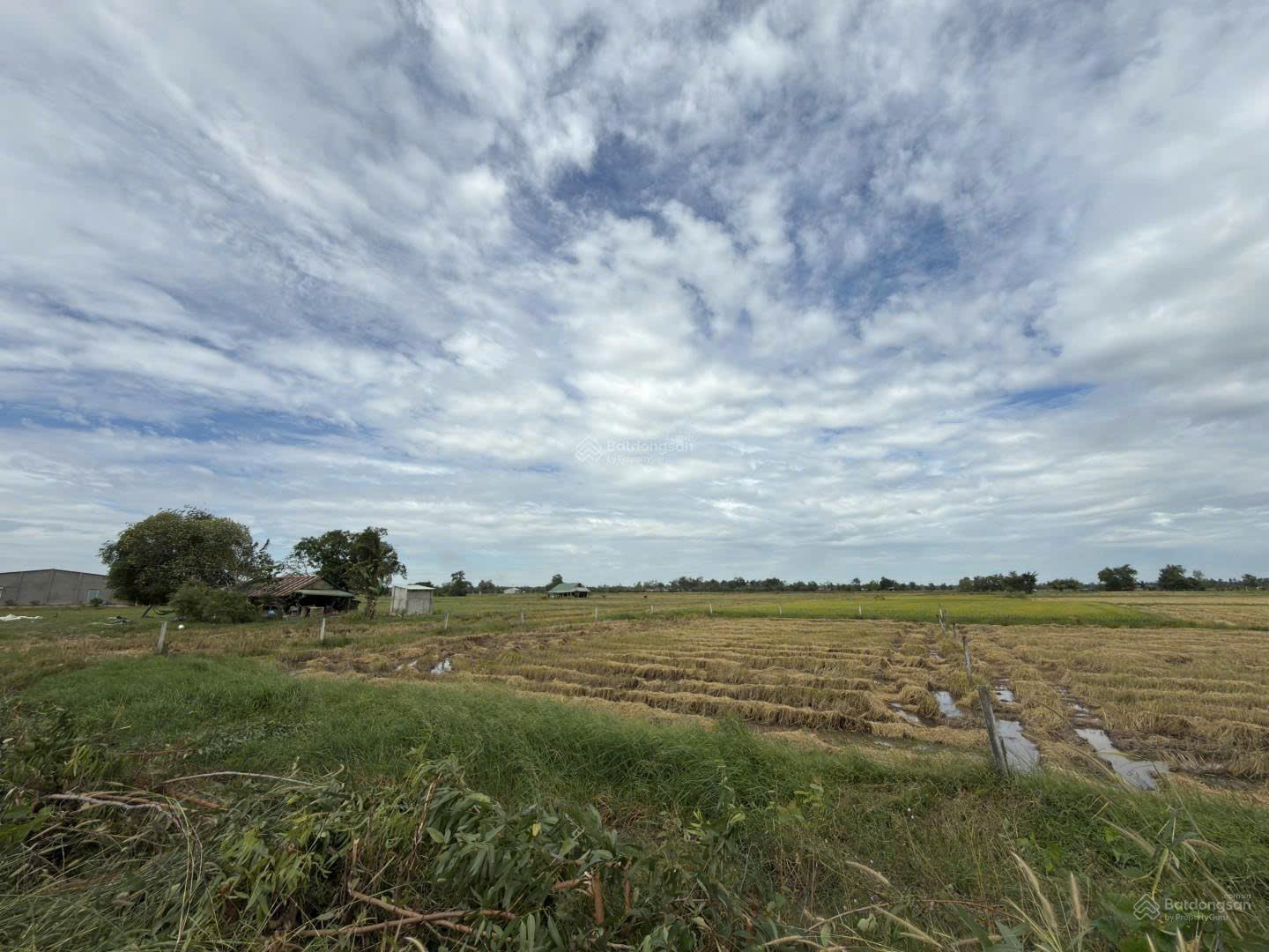 ĐẤT ĐẸP - GIÁ TỐT - Bán Nhanh Tại ấp Phước Đông xã Long Chữ tỉnh Tây Ninh (trước là xã Long Phước huyện Bến Cầu tỉnh Tây Ninh)