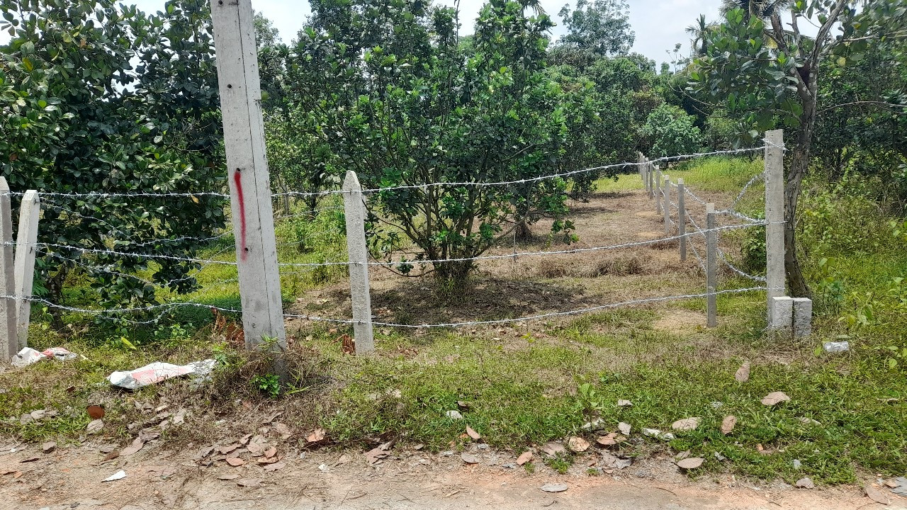 Bán đất